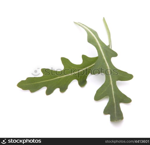 Sweet rucola salad or rocket lettuce leaves isolated on white background