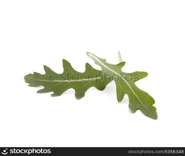 Sweet rucola salad or rocket lettuce leaves isolated on white background