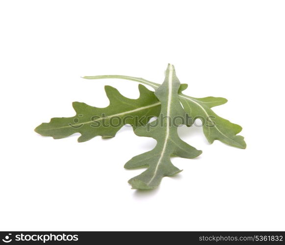 Sweet rucola salad or rocket lettuce leaves isolated on white background