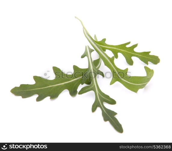 Sweet rucola salad or rocket lettuce leaves isolated on white background