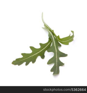 Sweet rucola salad or rocket lettuce leaves isolated on white background