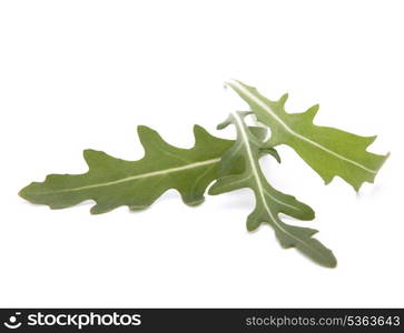 Sweet rucola salad or rocket lettuce leaves isolated on white background