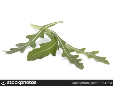 Sweet rucola salad or rocket lettuce leaves isolated on white background