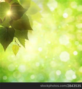 Sweet summer morning. Abstract natural backgrounds