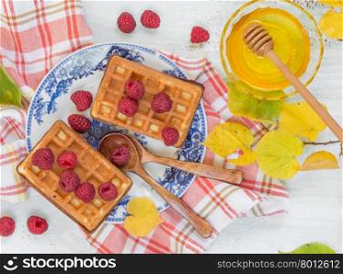 Sweet waffles with fresh raspberries and honey on a beautiful plate, standing on a crumpled checkered napkin