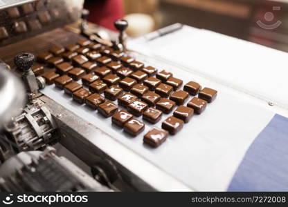 sweets production and industry concept - chocolate candies processing on conveyor at confectionery shop. chocolate candies on conveyor at confectionery