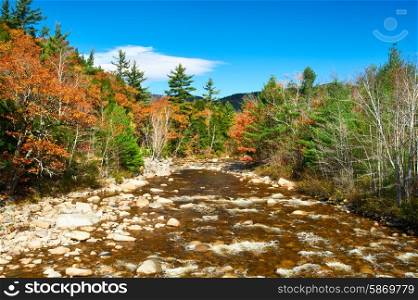 Swift River at autumn in White Mountain National Forest, New Hampshire, USA.