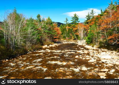 Swift River at autumn in White Mountain National Forest, New Hampshire, USA.