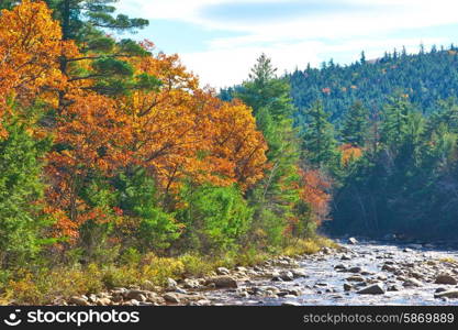 Swift River at autumn in White Mountain National Forest, New Hampshire, USA.