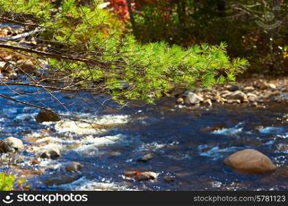 Swift River in White Mountain National Forest, New Hampshire, USA.