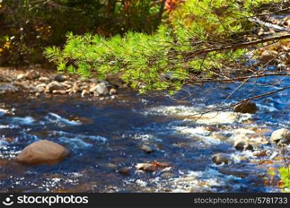 Swift River in White Mountain National Forest, New Hampshire, USA.