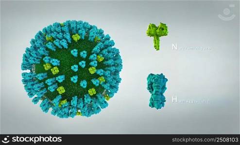 Swine flu is a viral disease of humans virus. 3D illustration. 3D Microbiology of Virus