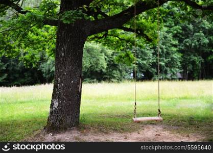 swing hanging on old oak tree