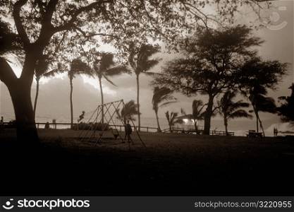 Swing Set In Park Near Ocean With Palm Trees