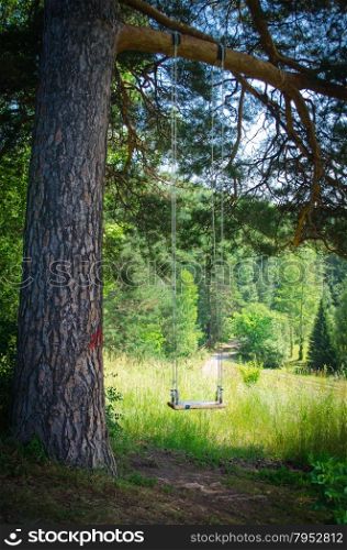 Swinging empty children&rsquo;s swing in forest