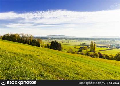 Swiss landscape with forests and meadows early in the morning. Agriculture in Switzerland, fields and pastures.