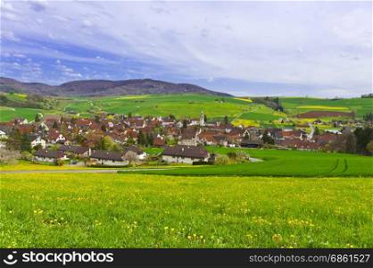 Swiss Town Surrounded by Pastures