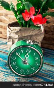 symbol of spring green clock and blossoming flower.Image is tinted in vintage style