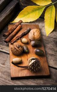 symbolic autumn background. autumn foliage, walnut, acorns and cinnamon on a retro background