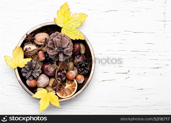 symbolic autumn Ikebana. autumn still life with cones, acorns, nuts and fallen leaves