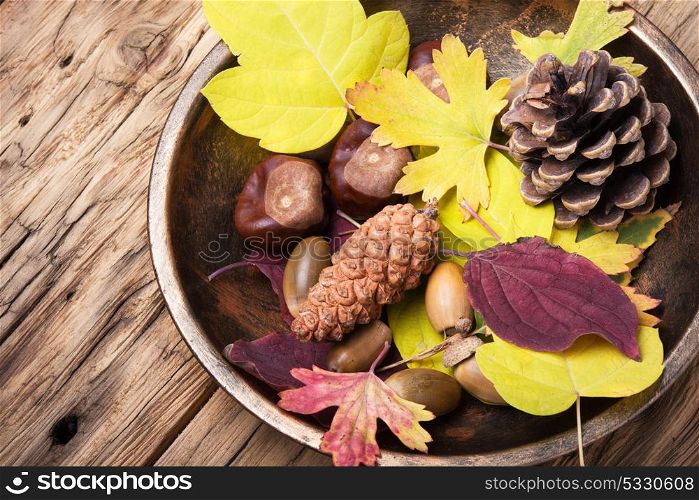 symbolic autumn still life. autumn still life with cones, acorns, nuts and fallen leaves