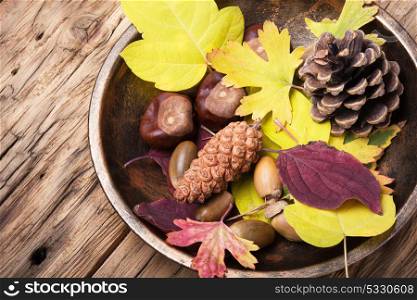 symbolic autumn still life. autumn still life with cones, acorns, nuts and fallen leaves