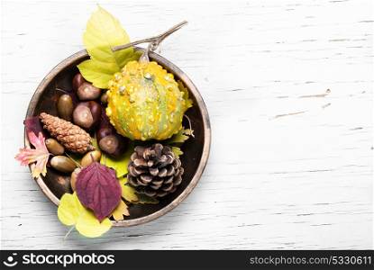 symbolic autumn still life. autumn still life with cones, acorns, nuts and fallen leaves.Copy space