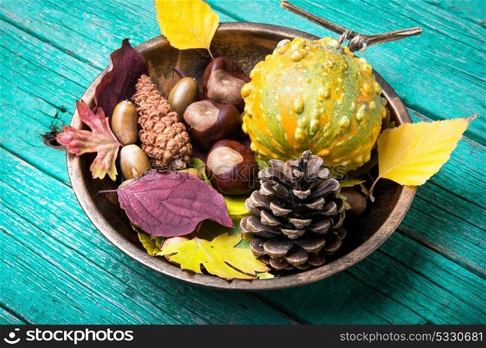 symbolic autumnal still life. season autumn still life with cones, acorns, nuts and fallen leaves