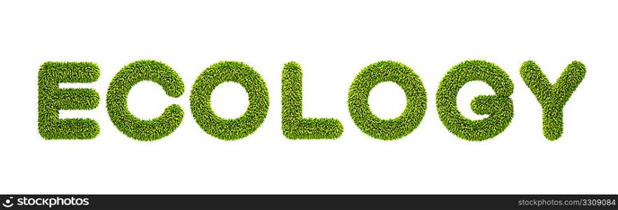 symbolic grassy word &acute;ecology&acute; 3d rendering