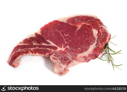 T-bone steak in front of white background