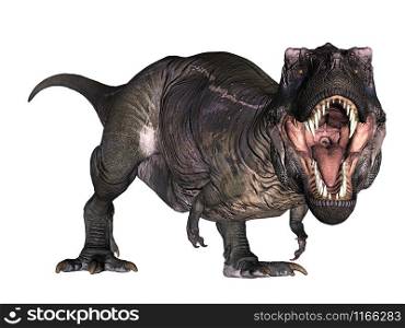 T-Rex roaring down on its feet isolated in white background - 3D render. T-Rex roaring down on its feet - 3D render