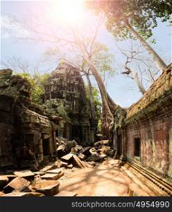 Ta Prohm, part of Khmer Angkor temple complex, popular among tourists ancient landmark and place of worship in Southeast Asia. Siem Reap, Cambodia.