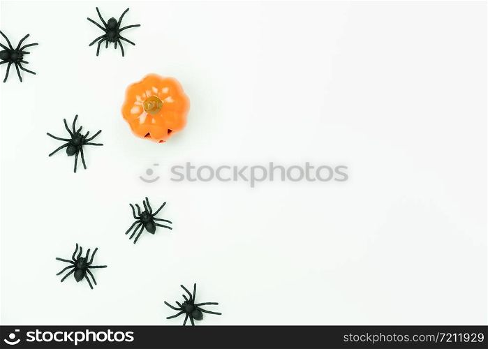 Table top view aerial image of decoration Happy Halloween day background concept.Flat lay accessories essential object the spiders with pumpkin on white wooden.Copy space for creative design text.