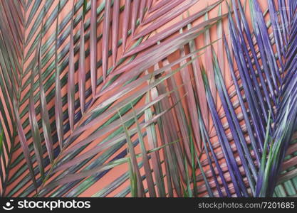 Table top view aerial image of summer season holiday background concept.Flat lay coconut or palm green leaf on modern rustic pink paper backdrop.Free space for creative design mock up text for content