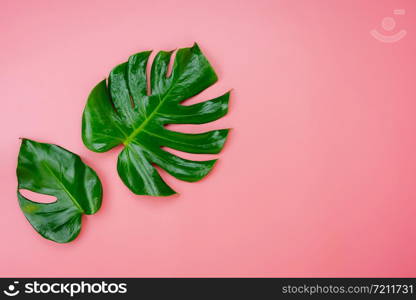 Table top view nature with spring summer holiday & vacation background concept.Arrangement monstera green left.Items on pink paper.flat lay with minimal style by pastel tone.environmental day