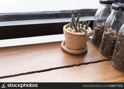 tablet, cactus pot and coffee bean in bottle on wooden desk beside window