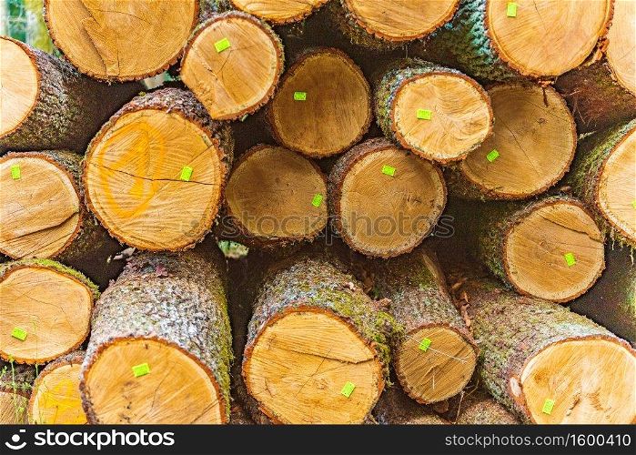 Tagged wood logs stacked up togheter outdoors background. Tagged wood logs stacked up togheter outdoors