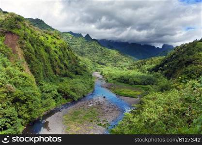 Tahiti.Tropical nature and mountain river