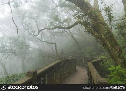 Taiwan Nature Trail in Foggy and Raining Autumn at Yangmingshan National Park in Taipei, Taiwan.