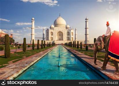 Taj Mahal and an Indian man on the elephant, Agra, India.