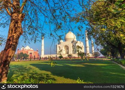Taj Mahal, garden view in Agra, Uttar Pradesh, India.. Taj Mahal, garden view, Agra, Uttar Pradesh, India
