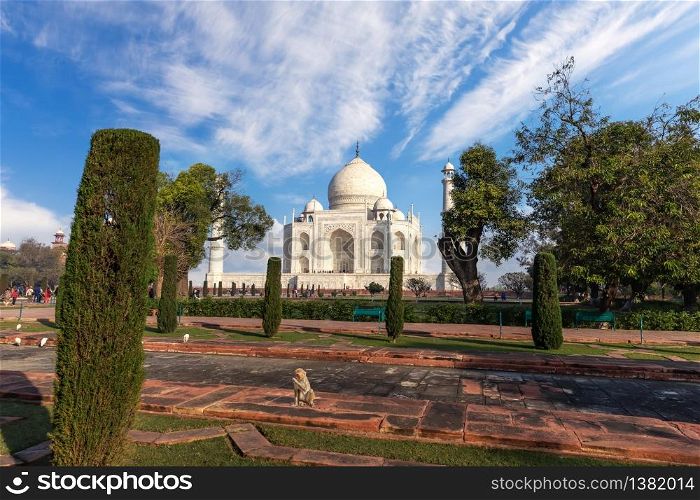Taj Mahal Mausoleum in the park, Agra, India.. Taj Mahal Mausoleum in the park, Agra, India