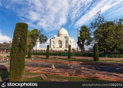 Taj Mahal Mausoleum in the park, Agra, India.. Taj Mahal Mausoleum in the park, Agra, India