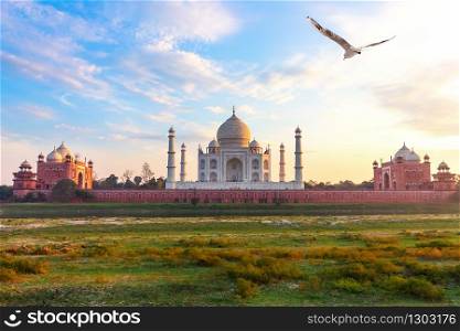 Taj Mahal, view from the Yamuna river, Agra, India.