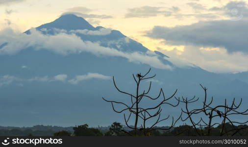 Tajumulco Volcano in Guatemala with bird silhouetted in a tree