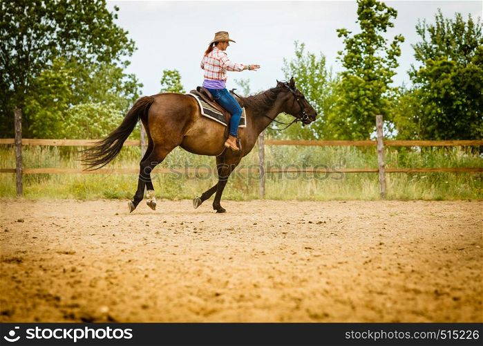 Taking care of animals, horsemanship, western competitions concept. Cowgirl doing horse riding on countryside meadow, sunny day outside. Cowgirl doing horse riding on countryside meadow
