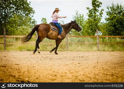 Taking care of animals, horsemanship, western competitions concept. Cowgirl doing horse riding on countryside meadow, sunny day outside. Cowgirl doing horse riding on countryside meadow