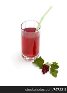 tall glass of juice and nearby branch of red currant, subject drinks