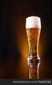 Tall glass of light beer on a dark background lit yellow