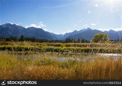 Tall Grass and Mountains With Sun Flare and Blue Sky Landscape Background Scenic